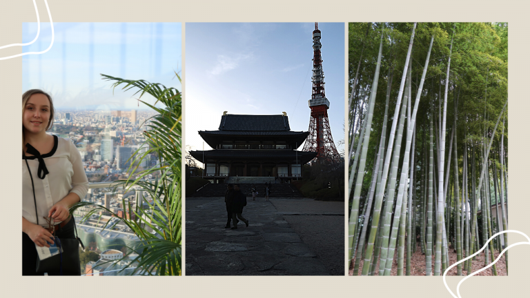 Tokyo Travel Guide